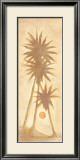 Casablanca Posters by M. G. Rosini