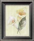 Calla Lily IV Print by Paul Hargittai