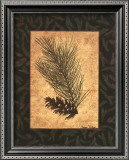 White Pine Prints by Susan Clickner
