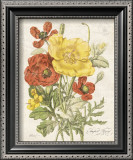 August Poppy Art by Katie Pertiet
