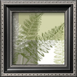 Abstract Fern Posters by Hanna Vedder