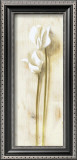 White Flowers Prints by David Col