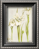 Flor Arlequin III Posters by Luisa Romero