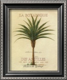 La Botanique Pôsters por Beth Yarbrough