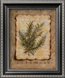 Vintage Herbs, Rosemary Print by Constance Lael