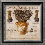 Lavande de Bonnieux Posters by Pascal Cessou