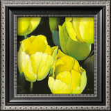 Tulipanes Amarillos Print by Siena 