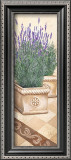 Lavanda Profumata Poster by Franz Heigl