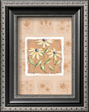 Black-Eyed Susans Poster by Wilma Sanchez