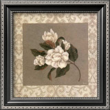 Four Magnolias Prints by Xavier 