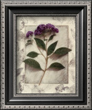 Heliotrope Posters by Julie Nightingale
