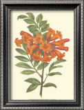 Bountiful Garden III Posters
