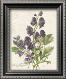 July Delphinium Posters by Katie Pertiet