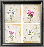 Nature's Gift II Posters por Antonietta Vernice