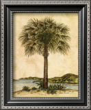 Palm Paradise II Art by Dianne Krumel