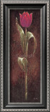 Mystic Tulip Dark Red Prints by Karsten Kirchner