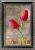 Red Tulip Prints