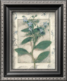 Borage Prints by Julie Nightingale