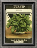 Turnip Print