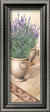 Lavanda Provenzale Prints by Franz Heigl