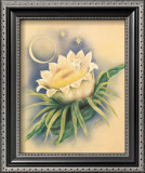 Night Blooming Cereus Prints by Ted Mundorff