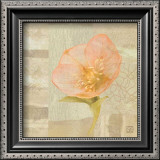Hellebore III Prints by Philippe Paput