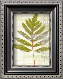 Breathe Prints by Susan Eby Glass