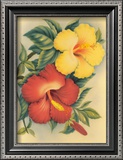 Hawaiian Hibiscus Poster by Eve Hawaii