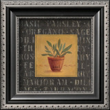 Basil Prints by Carol Robinson