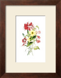 Flowers Prints by Louise Anne Twarmley