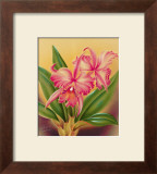 Cattleya Print by Hale Pua Studio 
