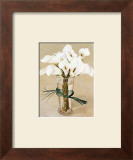 Antirinium Bouquet Prints by Galley 