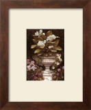 Cannas Prints by Betsy Brown