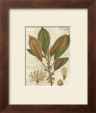Fitch Leaves IV Print by Walter H. Fitch