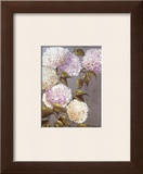 Hortensia Lila Posters by Ximena 