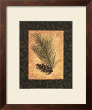 White Pine Prints by Susan Clickner
