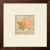 Hellebore I Poster by Philippe Paput