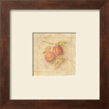 Pastel Plums Poster by Valerie Wenk