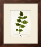 Flirt Print