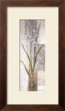 Freesia Posters by Vivien White