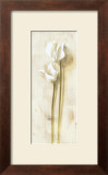 White Flowers Prints by David Col