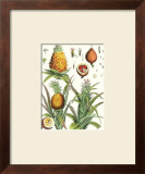Pineapple Posters