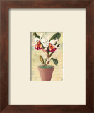 Potted Cattleya Art by Walter Robertson