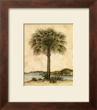 Palm Paradise II Prints by Dianne Krumel