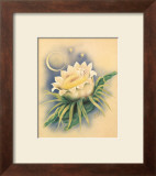 Night Blooming Cereus Art by Ted Mundorff