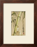 Oriental Junco V Print by Paz 