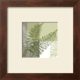 Abstract Fern Prints by Hanna Vedder