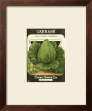 Cabbage Posters