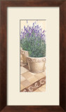 Lavanda in Fiore Prints by Franz Heigl
