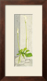 Water Games Poster por Ina van Toor